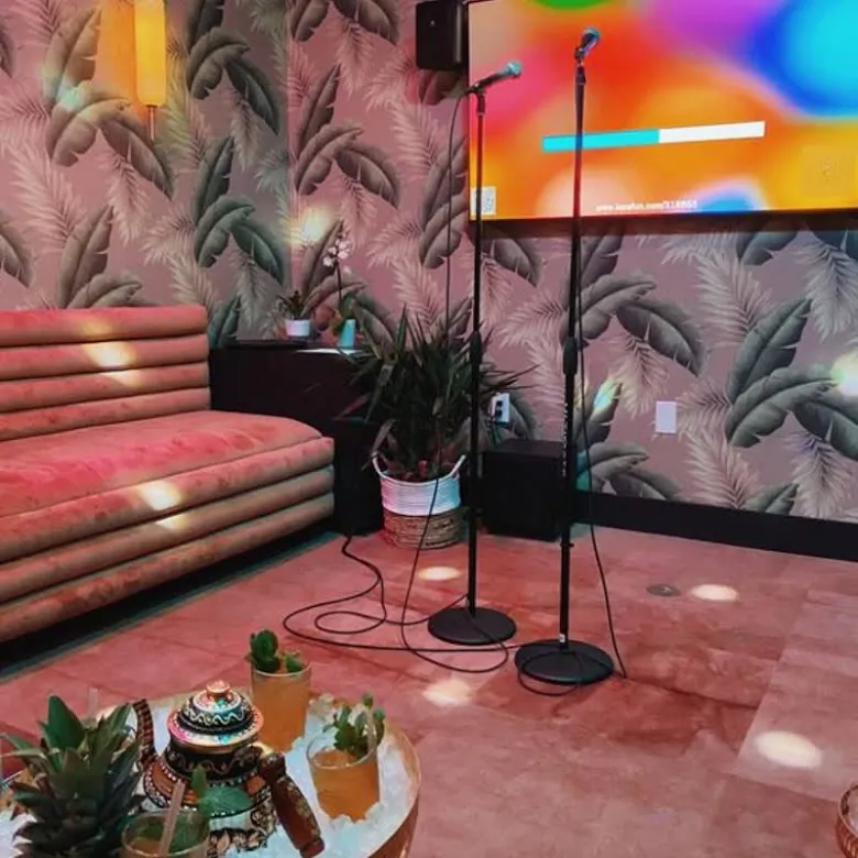 Karaoke set all-inclusive