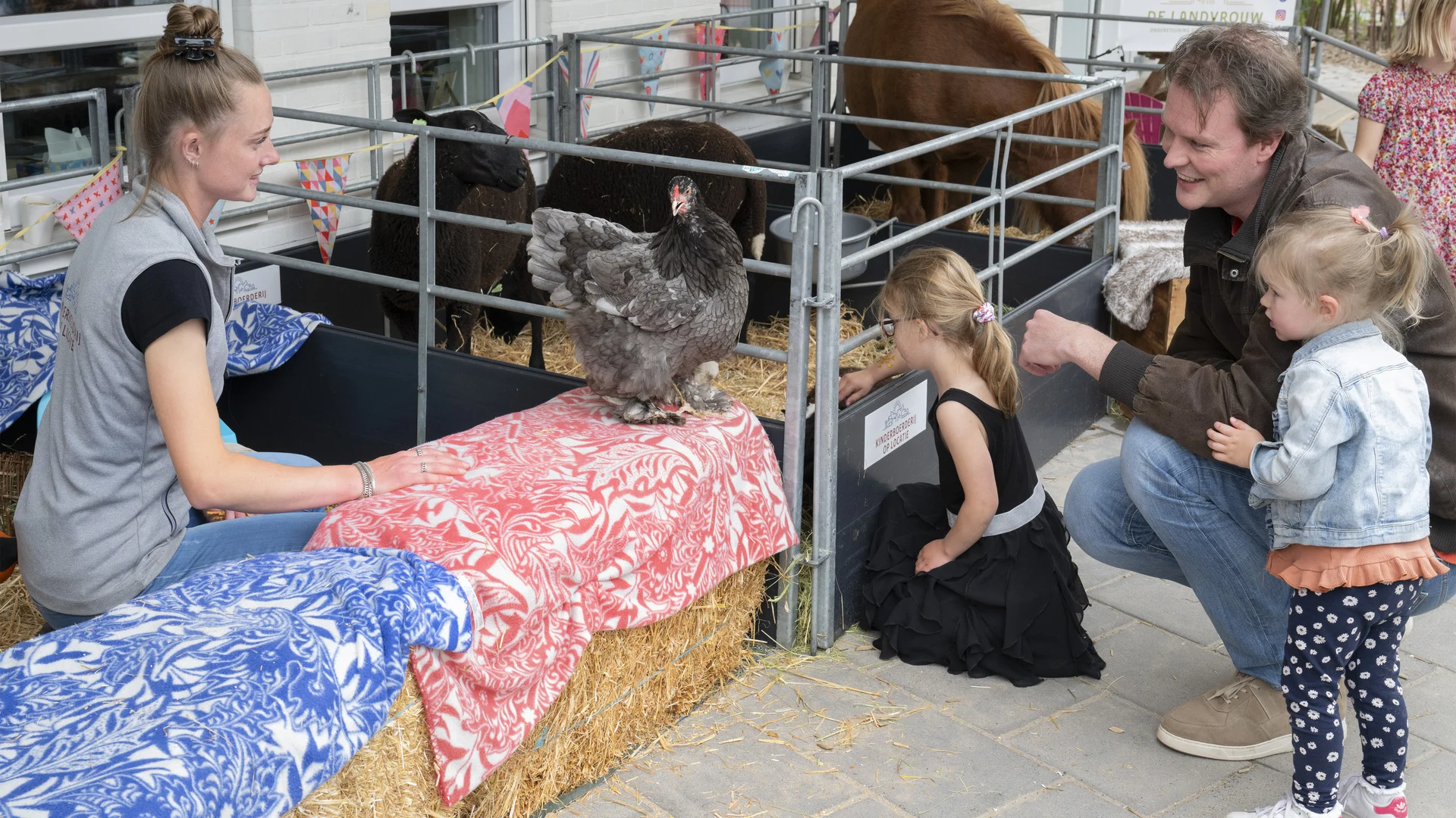 Dierenboederij op locatie mini