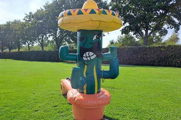 Cactus Ringgooien
